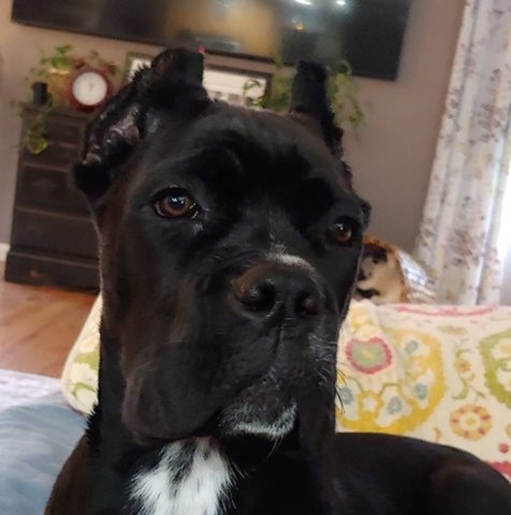 Meet your Posher, Richard - Picture 1 of 1